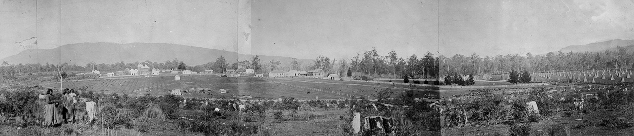 Panoramic photos of Coranderrk Aboriginal Station shortly after the conclusion of the 1881 Inquiry. Photo: Museum Victoria XP2278-81. (Click to enlarge)
